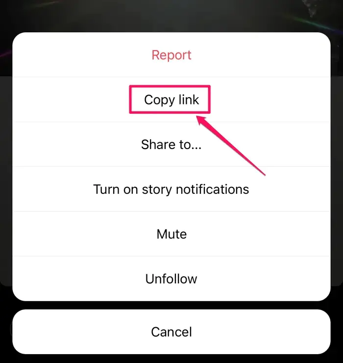Instagram Reels Videolarını İndirme