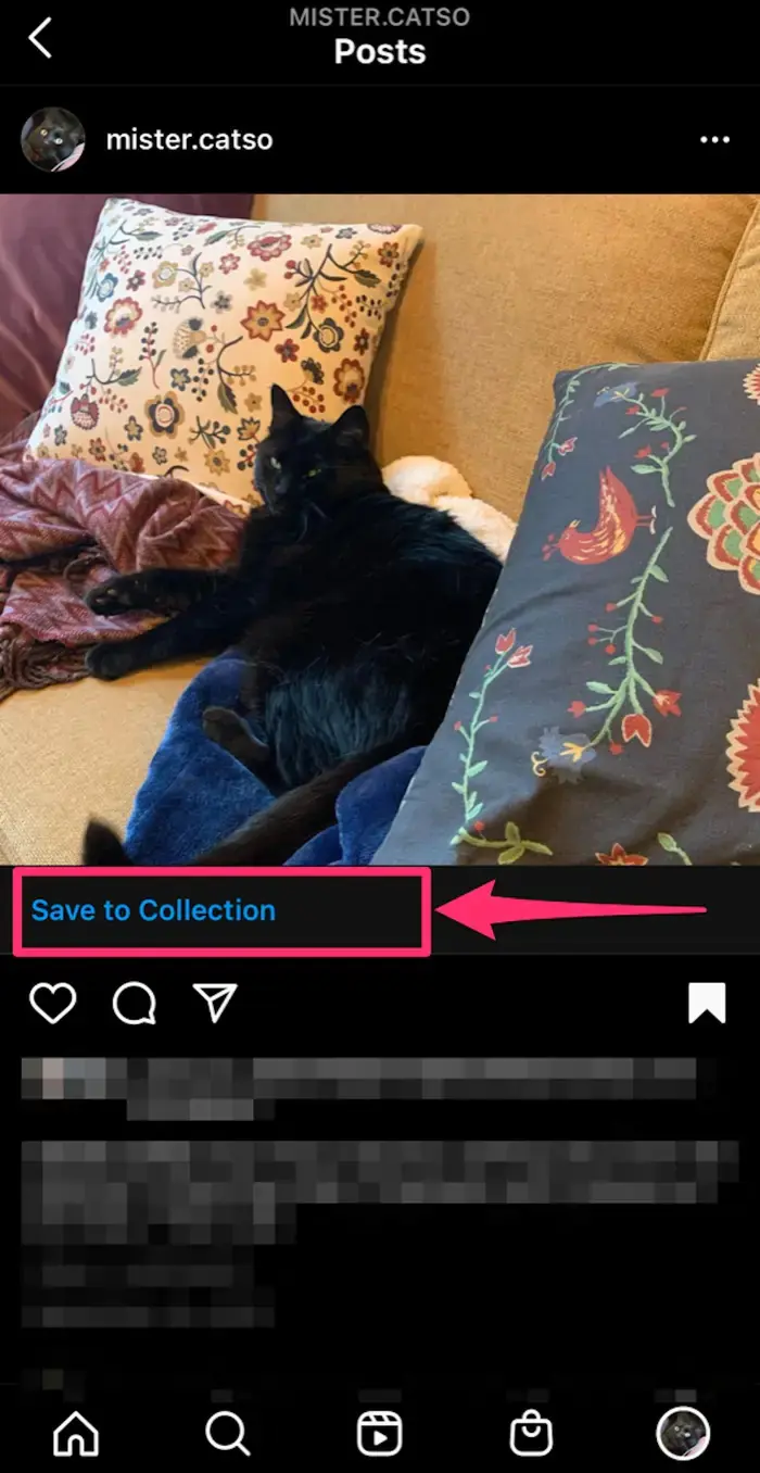 Instagram Videolarını iPhone veya Android Telefona İndirme