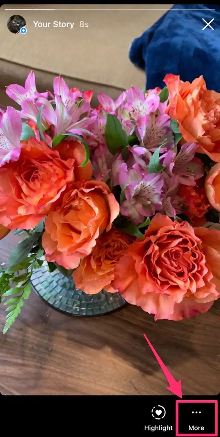 Instagram Videolarını iPhone veya Android Telefona İndirme