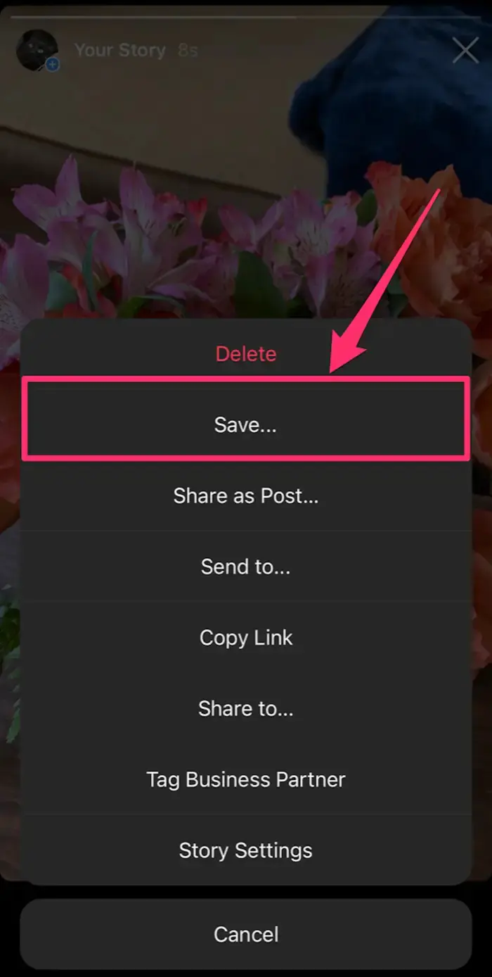 Instagram Videolarını iPhone veya Android Telefona İndirme