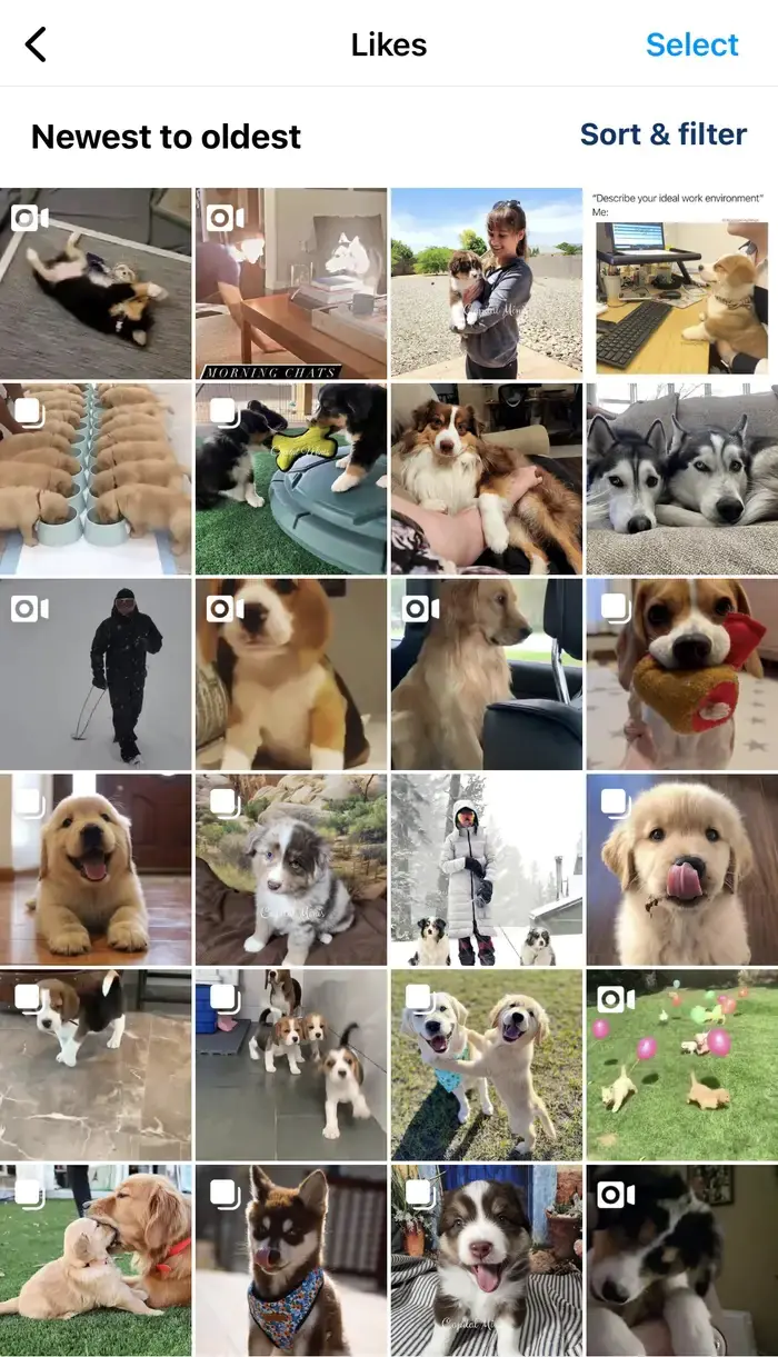 Instagram'da Beğendiğiniz Paylaşımları Görüntüleme