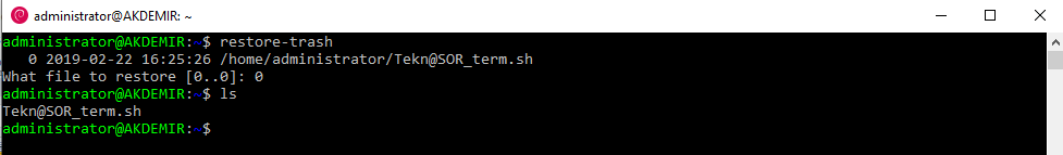 Linux Komut Satırını Kullanarak Dosyaları Silme