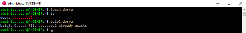 Linux ta Dosyaları bzip2 ile Sıkıştırma
