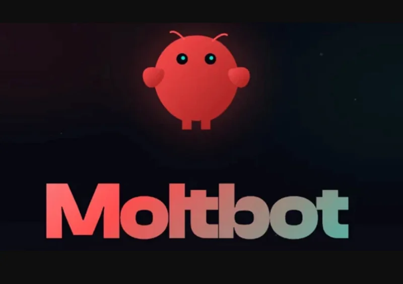 Moltbot Nasıl Kurulur