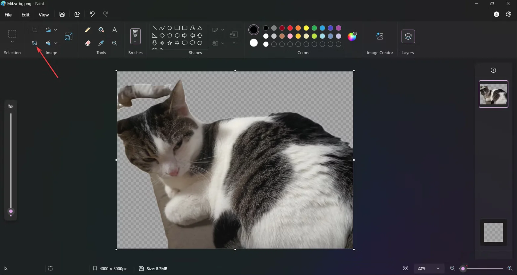 JPG mi PNG mi? Karar Vermeniz İçin 5 Neden