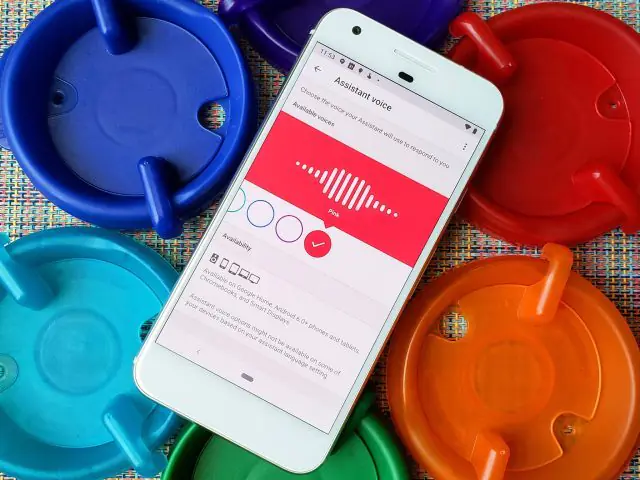 Sesli Asistan Uygulamasını Güncelleyin