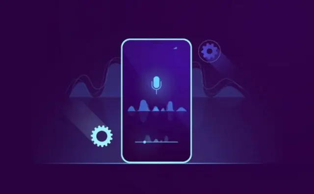 Telefonda Sesli Asistan Özelliği Çalışmıyor Sorunu