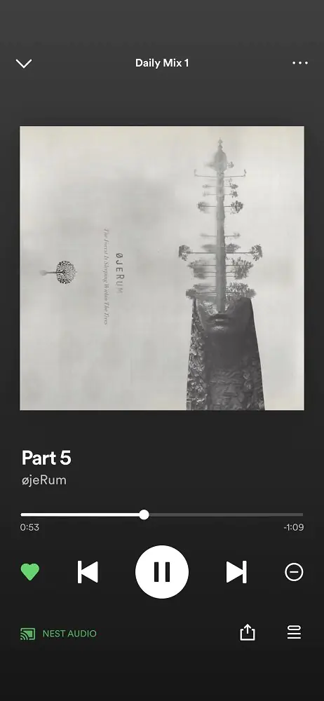 Spotify Arkadaşlarla Müzik Dinleme