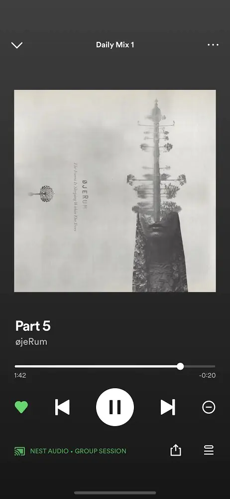 Spotify Arkadaşlarla Müzik Dinleme