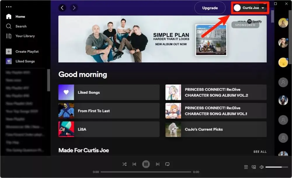 Spotify Kişi Engelleme