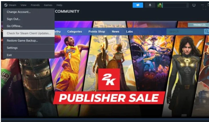 Steam Uzaktan Oynatma Onarma