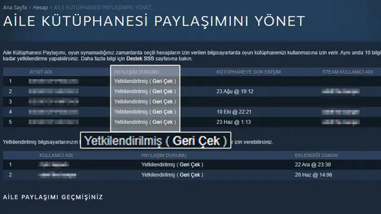 Steam Oyunlarını Arkadaşlarınızla Paylaşma