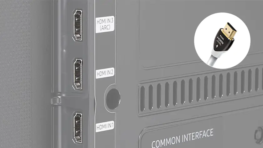 TV'de Hangi Konektör Bulunur?