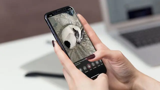 TikTok'ta Ses Değiştirici Kullanımı