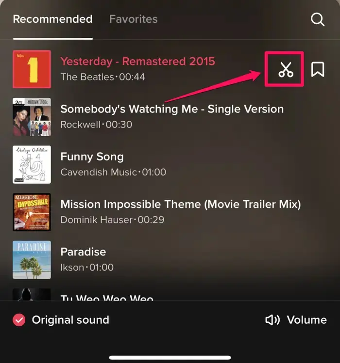TikTok Ses Kaydı Düzenleme