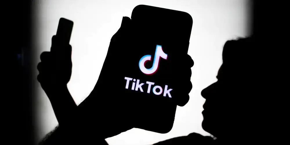 TikTok'ta Videonuzu Kimin Beğendiğini Görüntüleme