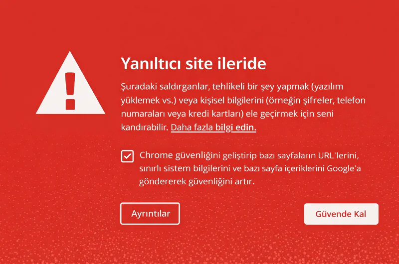 Web Sitenizdeki Yanlış Site Uyarısı