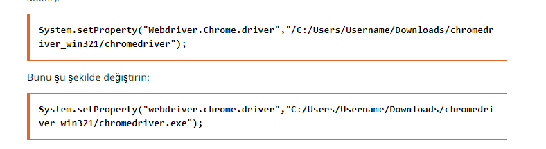 Web Sürücüsü Bir Tür Hatası Nasıl Görülür