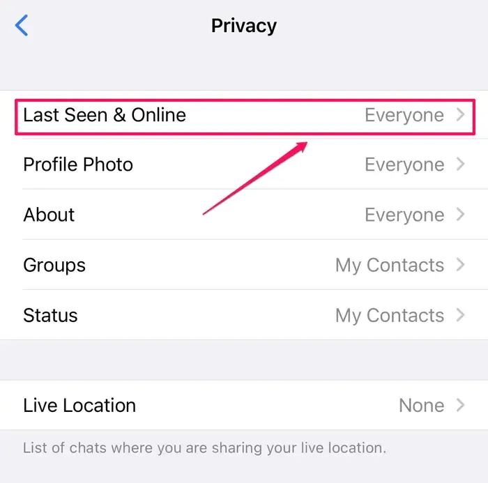 WhatsApp Çevrimiçi Durumunu Gizleme