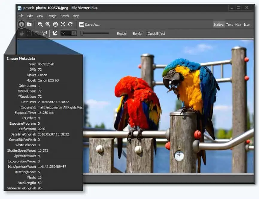 Windows 10 için En İyi 7 Fotoğraf Görüntüleme Yazılımı_2 Windows 10 için En İyi 7 Fotoğraf Görüntüleme Yazılımı