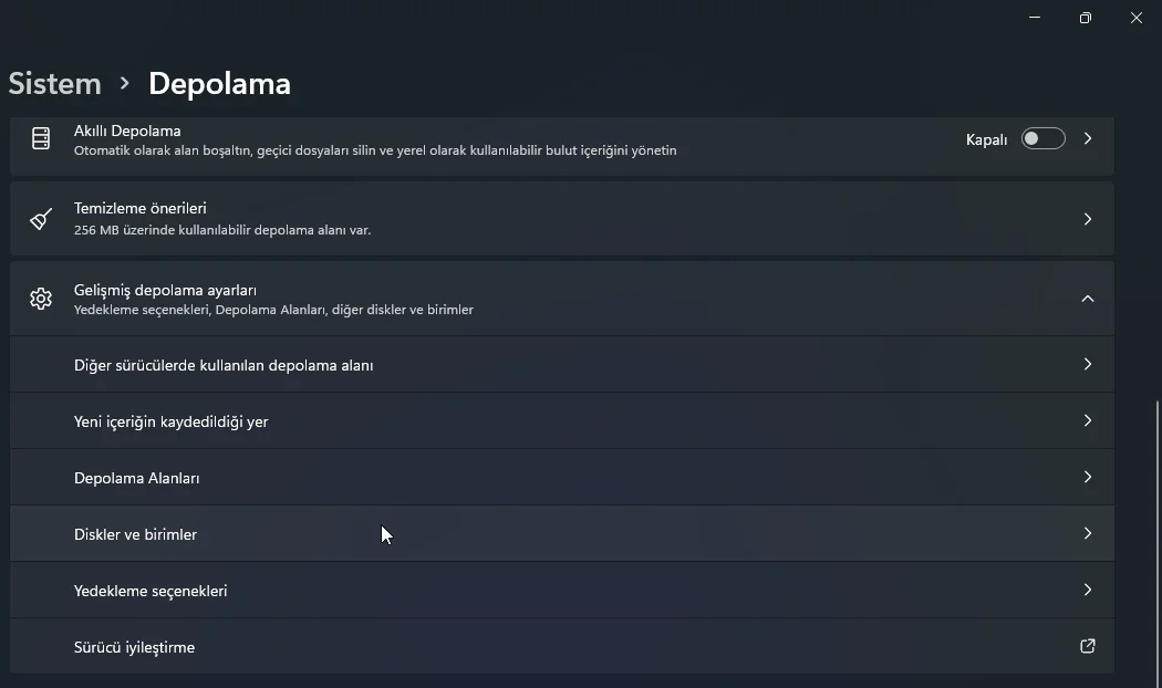 Windows 11 Sürücü Harfi Değiştirme