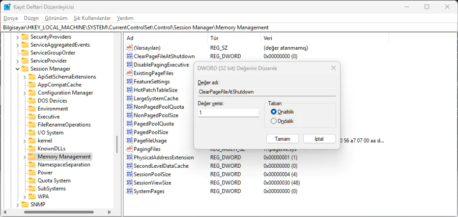 Windows 11 Yüksek RAM Kullanımı