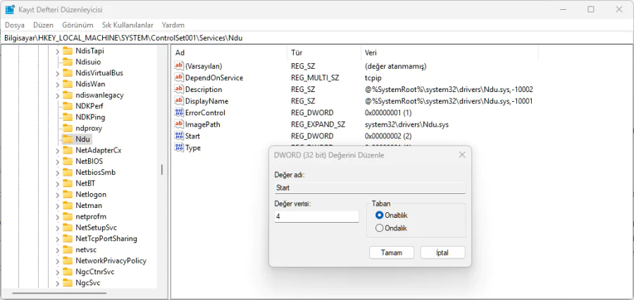 Kayıt Defterinizde NDU'yu Devre Dışı Bırakın