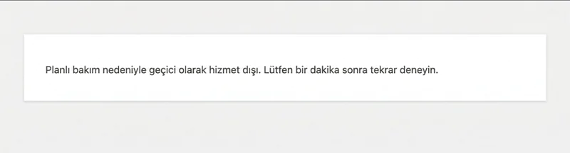 WordPress Planlı Bakım