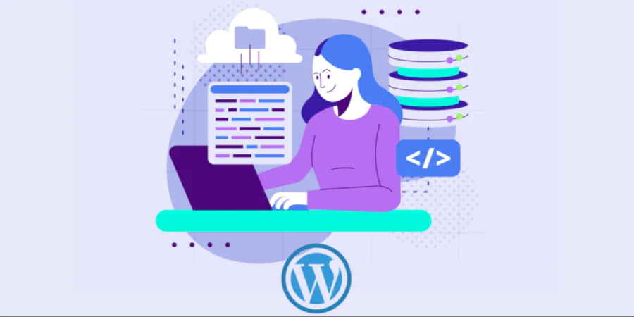 WordPress Veritabanına Ek Dosya Eklenemedi Hatası