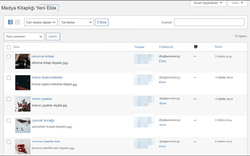 WordPress Veritabanına Ek Dosya Eklenemedi Hatası 