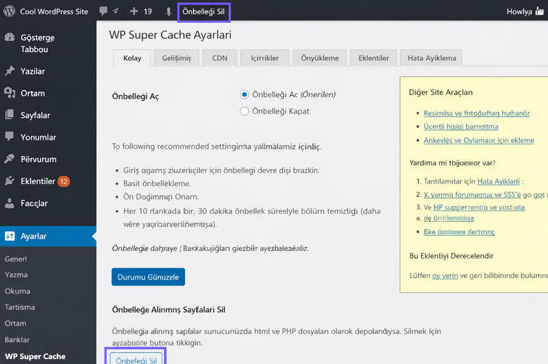 WordPress Yaptığınız Değişiklikler Görünmüyor Sorunu