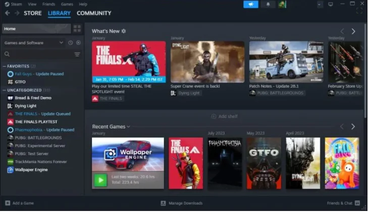Steam Uzaktan Oynatma Nedir