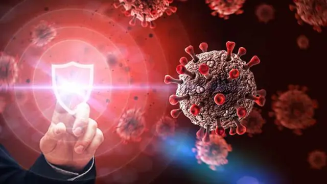 Bilgisayarınızı virüslerden koruyun