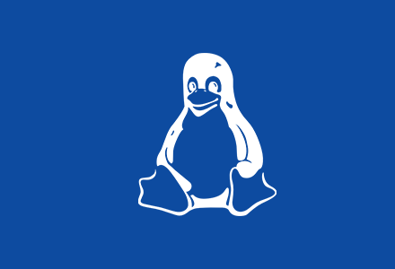 Linux Komut Satırını Kullanarak İnternete Bağlanma