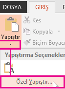 Özel Yapıştır Seçeneği
