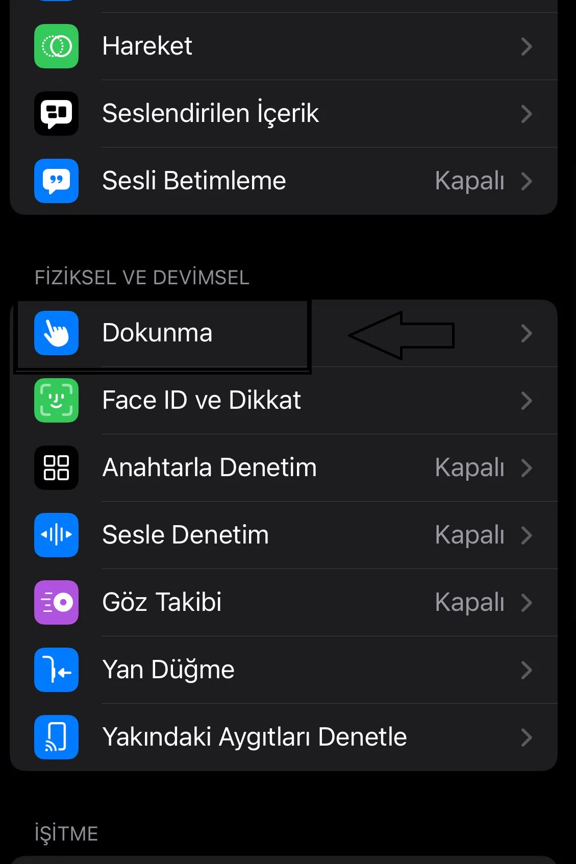 İphone telefonda ses eylemi