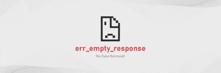Chrome veya Edge Err_Empty_Response Hatası