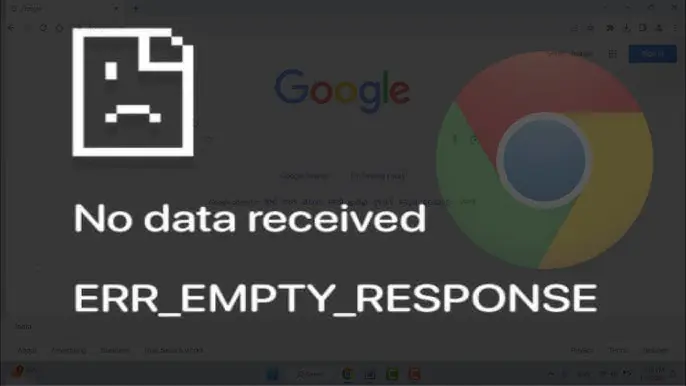 Chrome veya Edge Err_Empty_Response Hatası