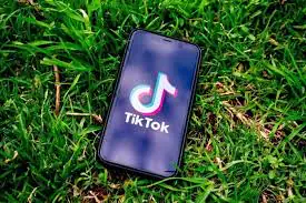 TikTok Bir Şeyler Yanlış Gitti Hatası