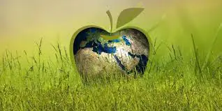 Apple'ın Sürdürülebilirlik Hedefleri