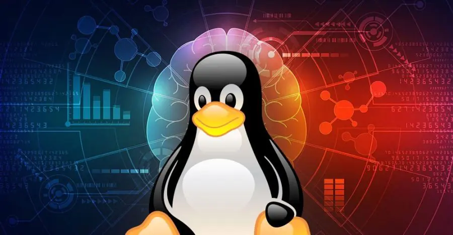 Linux Komut Satırını Kullanarak İnternete Bağlanma