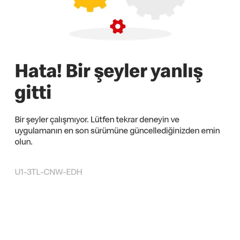 TikTok Bir Şeyler Yanlış Gitti Hatası