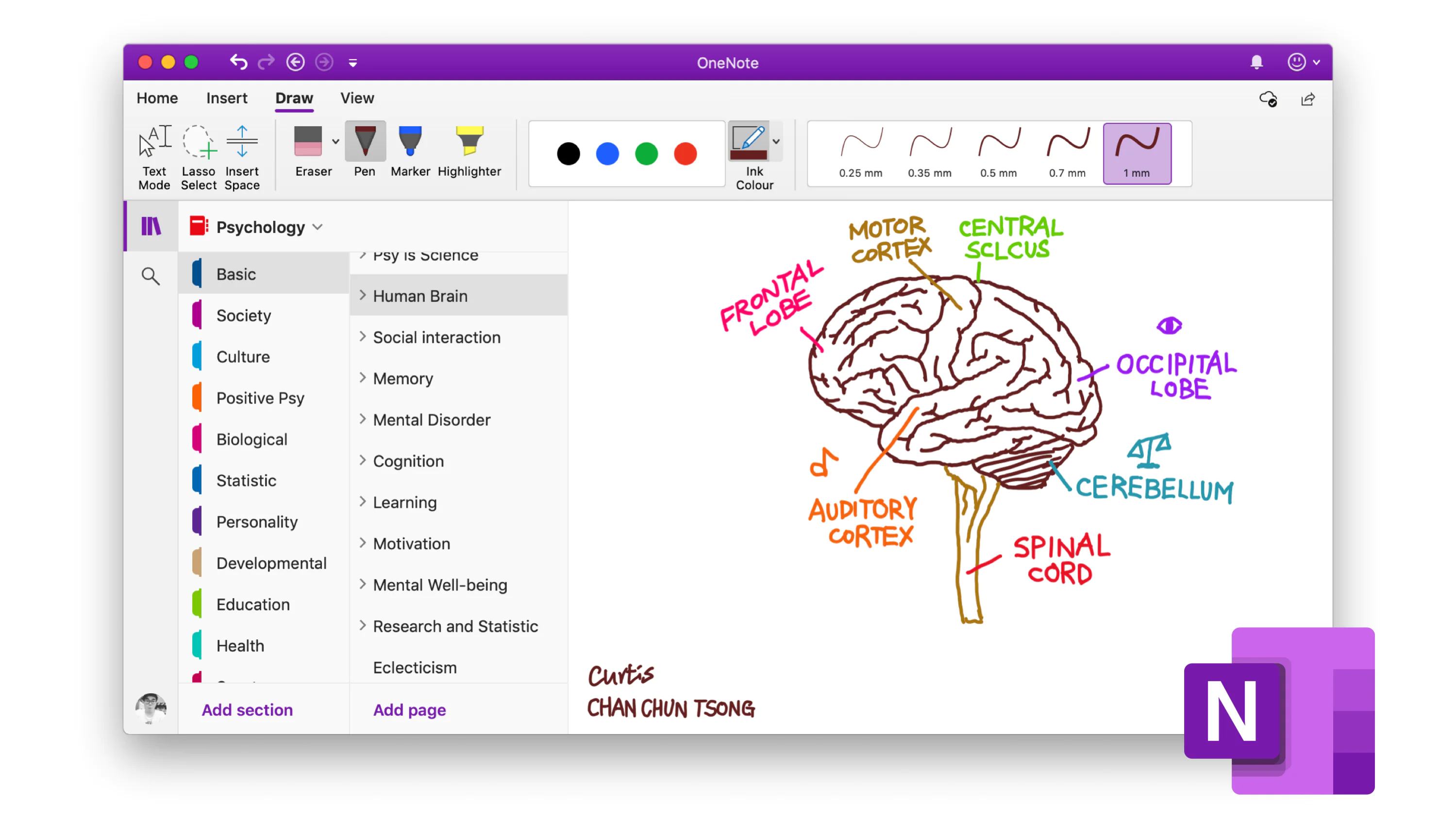 OneNote'te Silinen Defterler Nasıl Kurtarılır. Eğer önemli notlarınızı almak için OneNote kullanıyorsanız, defterlerinizi sildiğinizde ne olacağını düşünmeniz gerekebilir.