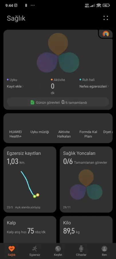 HUAWEI WATCH GT6 46 mm Kurulum Adımları