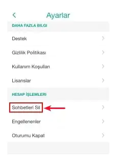 Snapchat Mesajlarımı Nasıl Silebilirim