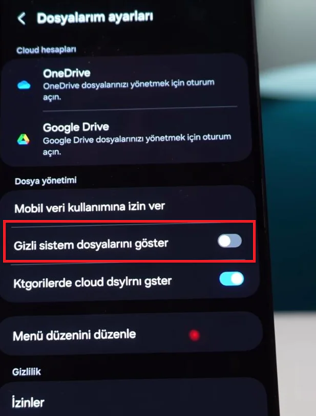gizli sistem dosyaları