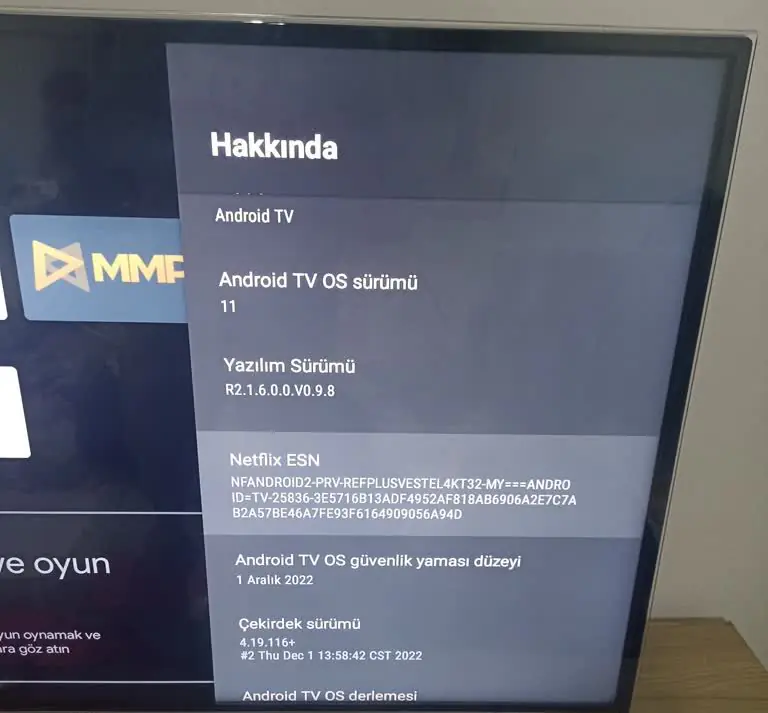 Thomson TV YouTube Uygulaması Açılmıyor nasıl çözebilirim