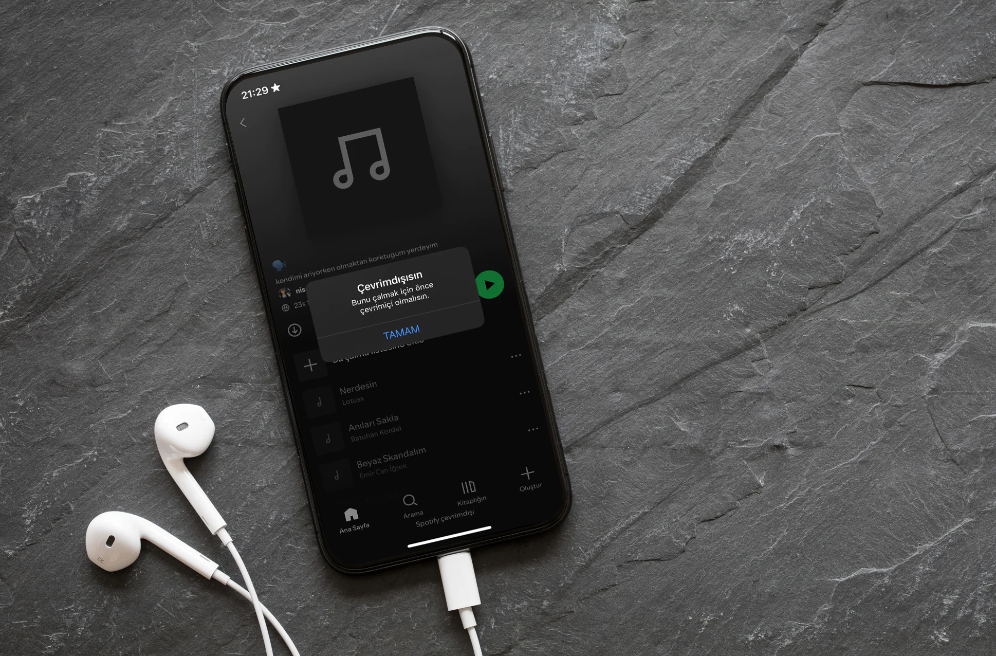 Spotify Çevrimdışısın Sorunu Ekran Görüntüsü