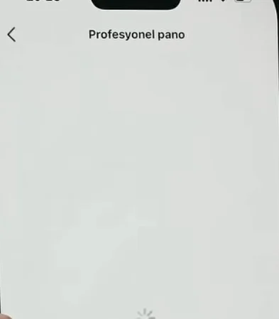 profesyonel pano