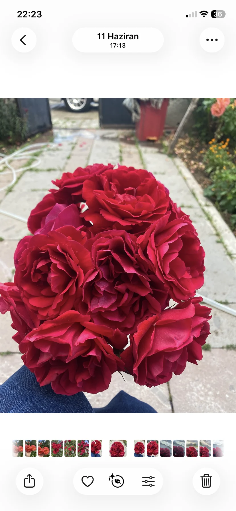 iOS 27 ile fotoğraf iOS 27 ile fotoğraf
